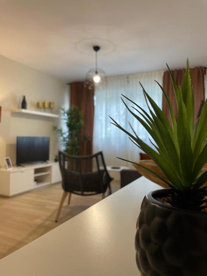 Apartamento Jerez 2022 Jerez de la Frontera Exteriér fotografie